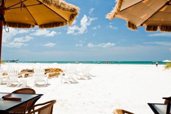 Clearwater Beach Transport Only