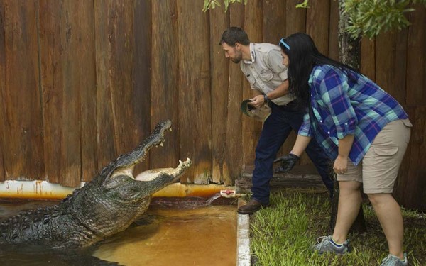 Gatorland Trainer for a Day