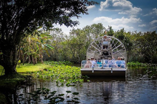 Safari Park Original Everglades National Park Airboat Tour