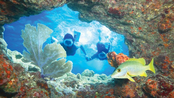Key West Reef & Ritas Snorkel Trip