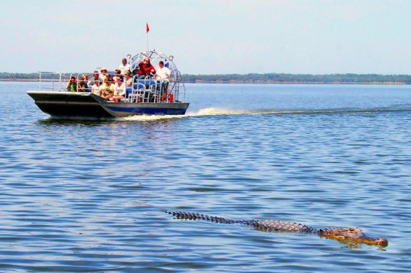 Everglades Airboat & Wildlife Tour with Transportation