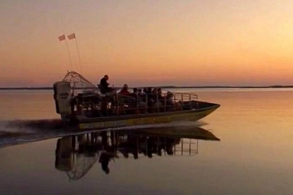 Wild Florida - 1 hour Private Everglades Tour at Night